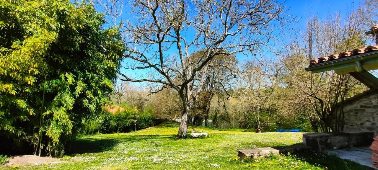 Entre Galets Apartment Sauveterre-de-Bearn Luaran gambar